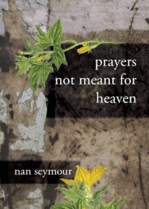 Prayers Not Meant for Heaven by Nan Seymour
